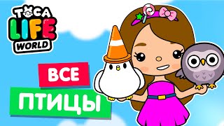 СОБРАЛА ВСЕХ ПТИЦ в Тока Бока 🦆 Toca Life world