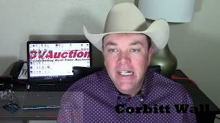 Feeder Flash 1/11:  Cash Feeders Sharply Lower