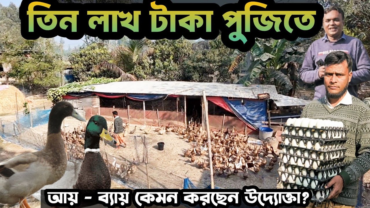তিন লাখ টাকা পুজিতে আয় ব্যায় কেমন করছেন উদ্যোক্তা | Duck Farming | Agro Dream Bangla 