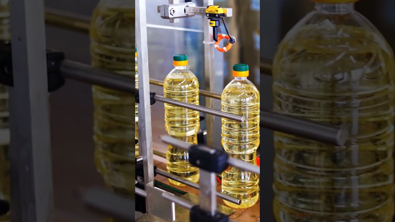 Uttar Pradesh – India’s Agricultural Heartland is Transforming!