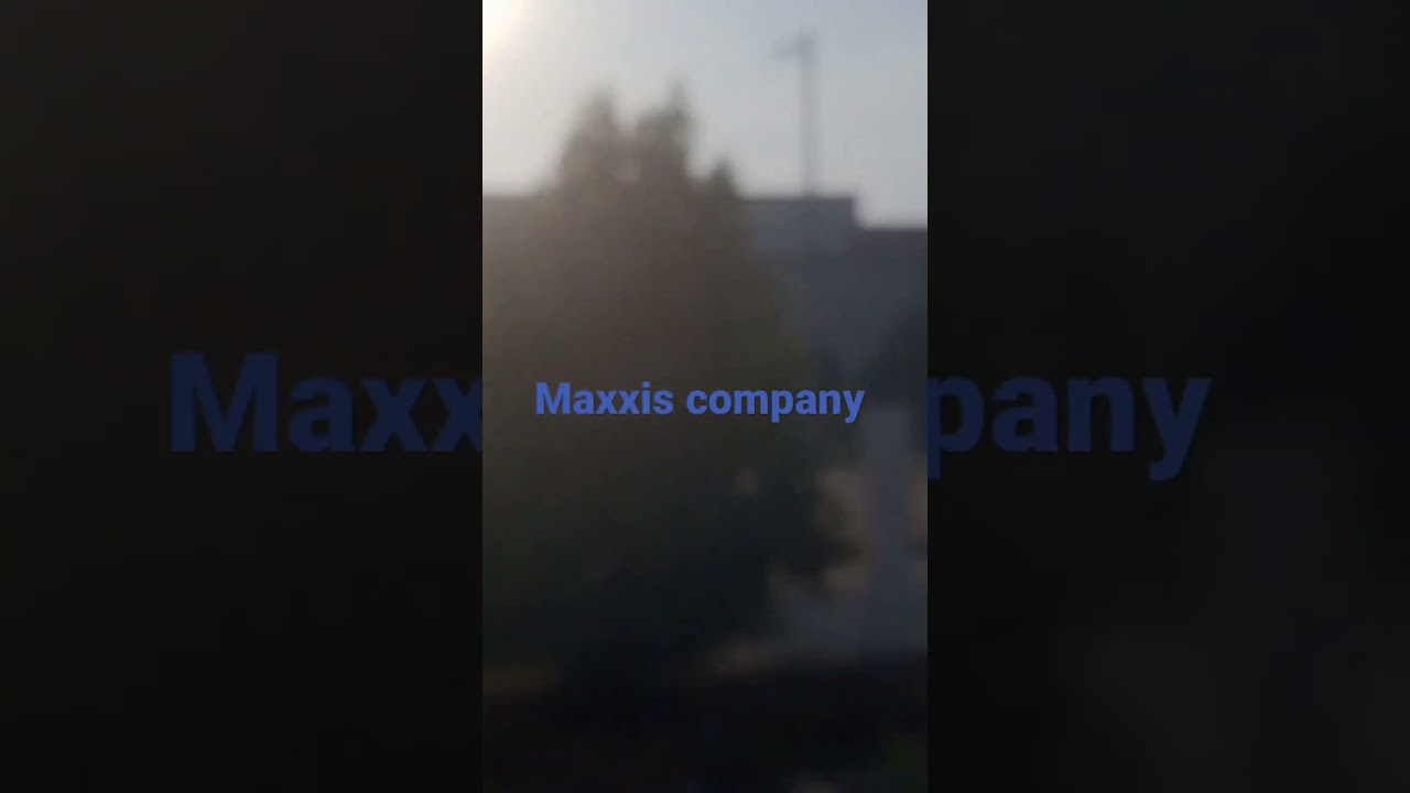 maxxis company