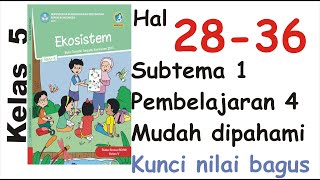 Tematik Kelas 5 Tema 5 Subtema 1 Pembelajaran 4