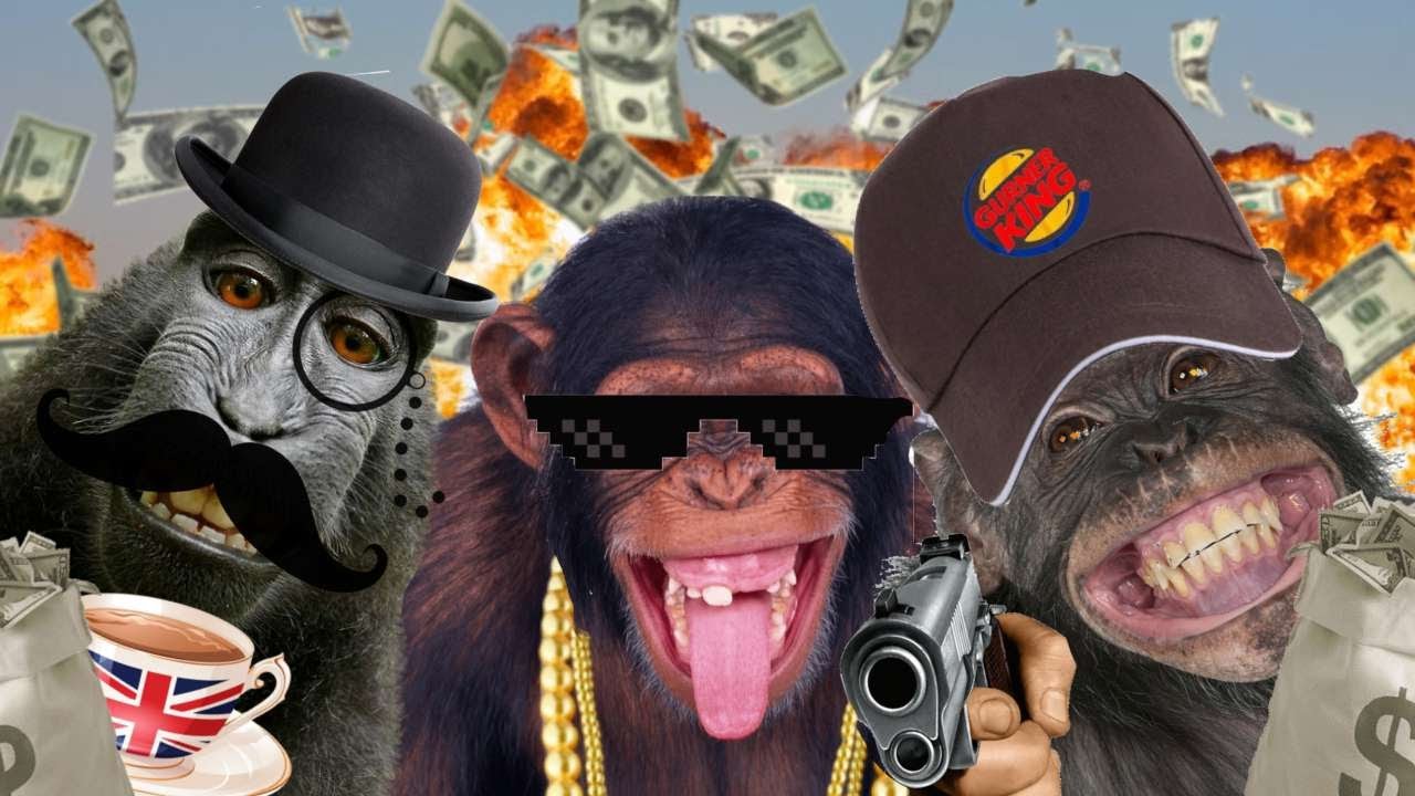 Serious MonkE Business | {DADI podcast ep2}