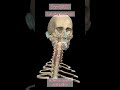 Learning anatomy | Guess the Muscle Name and Action#anatomy #muscles #Physiotherapy