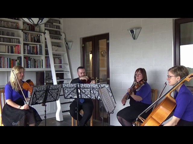 Andrelli String Quartet - A Million Dreams from The Greatest Showman