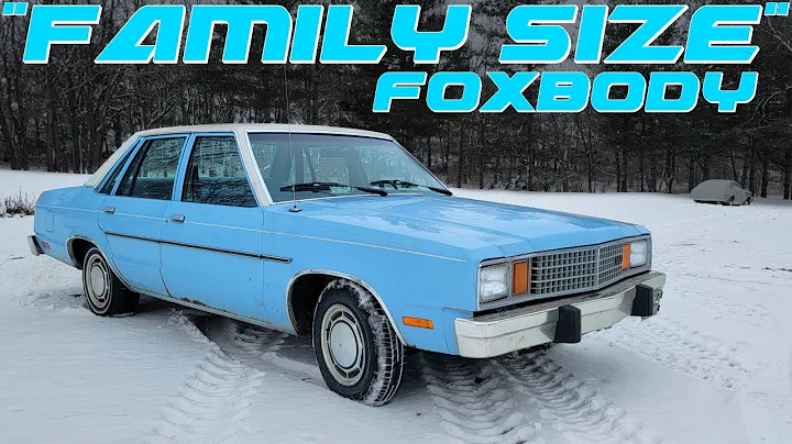 CHEAP V8 Ford Fairmont REVIVAL! Will it Run & Drive?