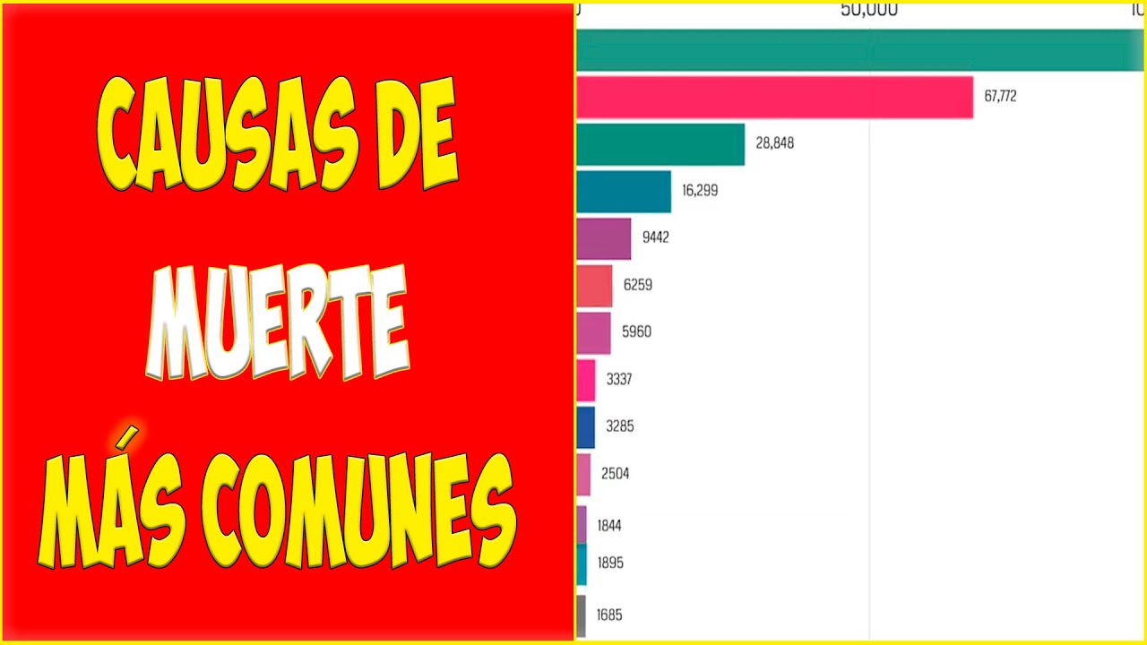 Causas de MUERTE más comunes en España ☠️⚰️ 1980 a 2017 YouTube Causas de MUERTE más comunes en España ☠️⚰️ 1980 a 2017 YouTube