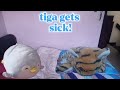 Ss movie:tiga gets sick 