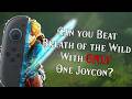 Can You Beat Breath of the Wild With Only ONE JOYCON?