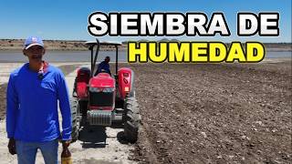 SIEMBRAS DE HUMEDO A ORILLAS DE LA PRESA