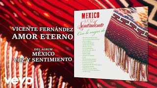 Miniatura de vídeo de "Vicente Fernández - Amor Eterno (Cover Audio)"