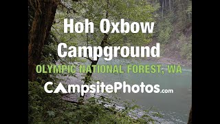 Hoh-Oxbow Campground Olympic National Forest, Washington Campsite Photos