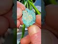 Nice Rough Natural Nugget ~Villa Grove~ #Turquoise Dry~Wet #minerals #lapidary #geology #gemstone