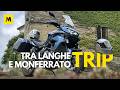 Tra Langhe e Monferrato con il... TRIP!
