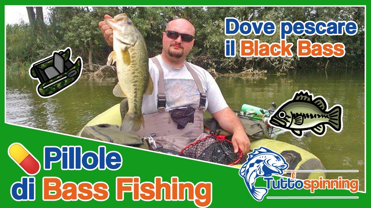 DOVE pescare il BLACK BASS in ITALIA 💊 Pillole di Bass Fishing