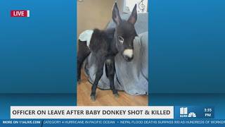 Cedartown officer on leave after baby donkey named HeeHaw shot and killed