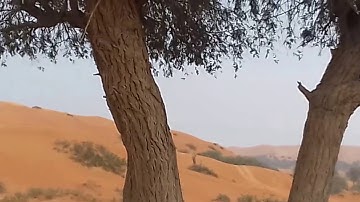خواتيم سُورة الزمَر { 75-53} برواية ابن وردان عن أبي جعفر / للشيخ المُقريء : د.عبدالحكيم الشاعر