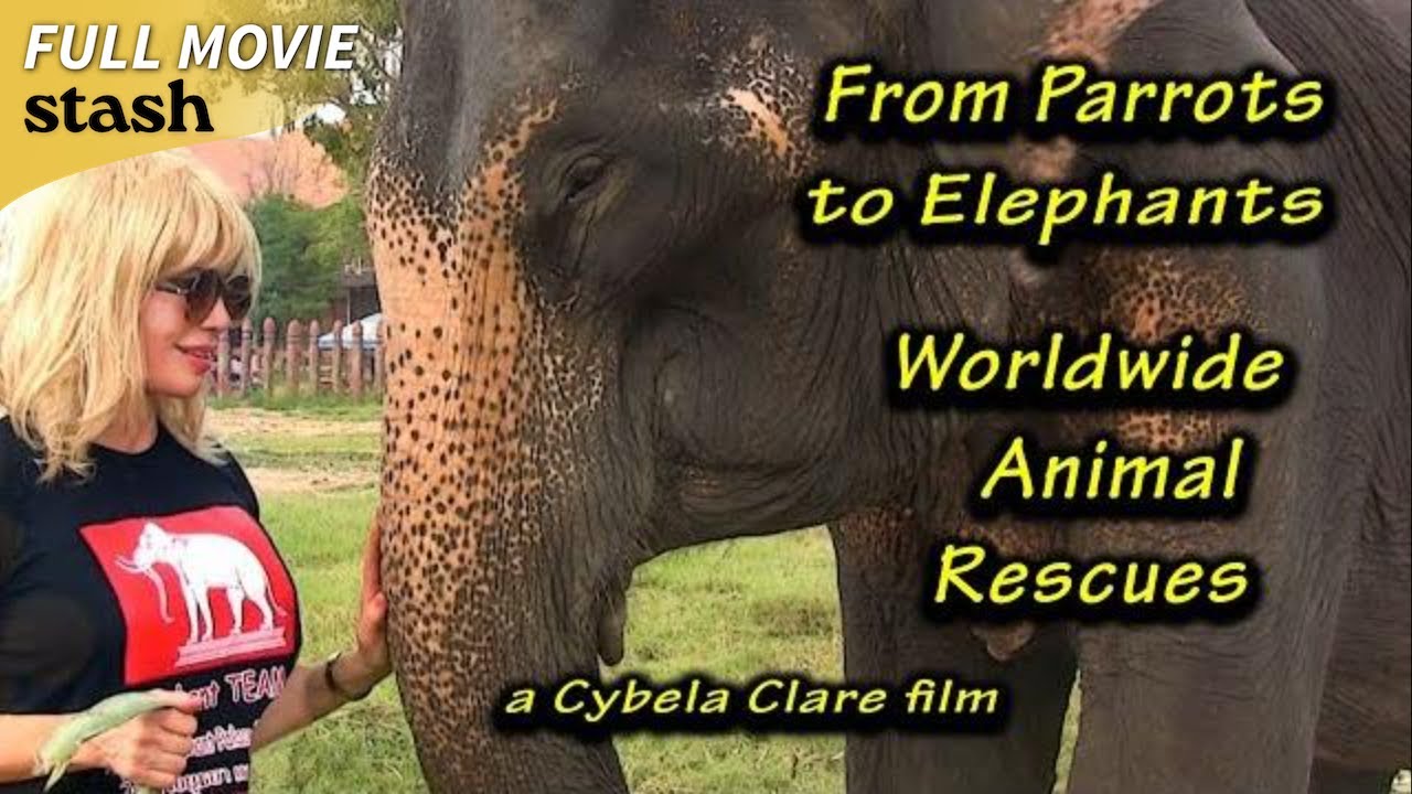 From Parrots to Elephants: Worldwide Animal Rescues | Animal Lovers Documentary (2025)