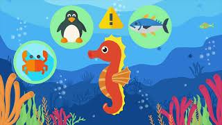 SEAHORSE  Sea creatures for kids  Learn about Seahorses