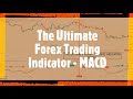 The Ultimate Forex Trading Indicator   MACD