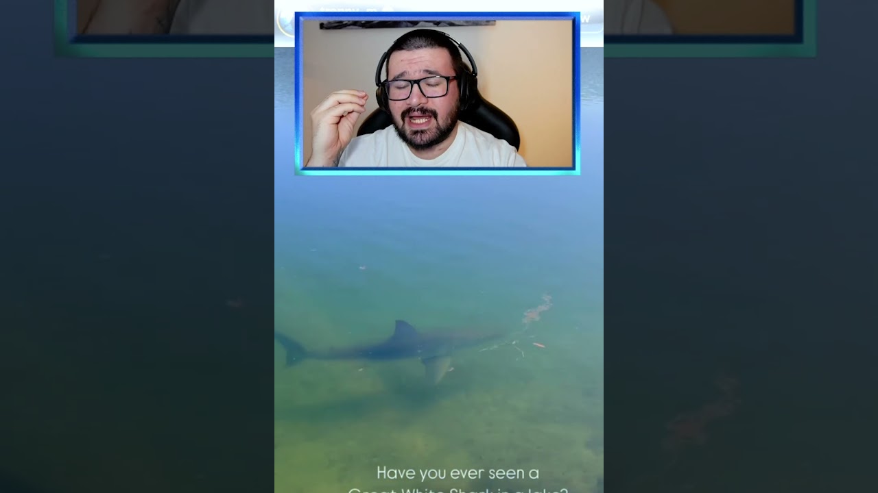 TIBURON SALVAJE ENCONTRADO EN UN LAGO DE AGUA DULCE