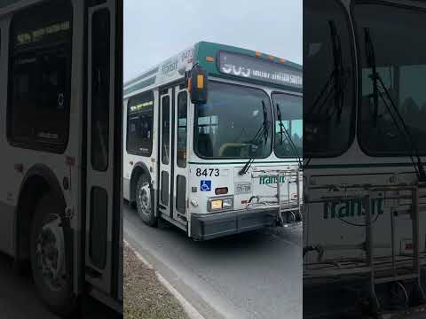 #shorts DRT RETIRED 8473 to Whitby Station South with an Updated Destination Sign