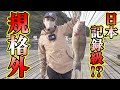 【釣×食】かぶせ釣り、開始早々!?ついに目標の〇鯛が!?