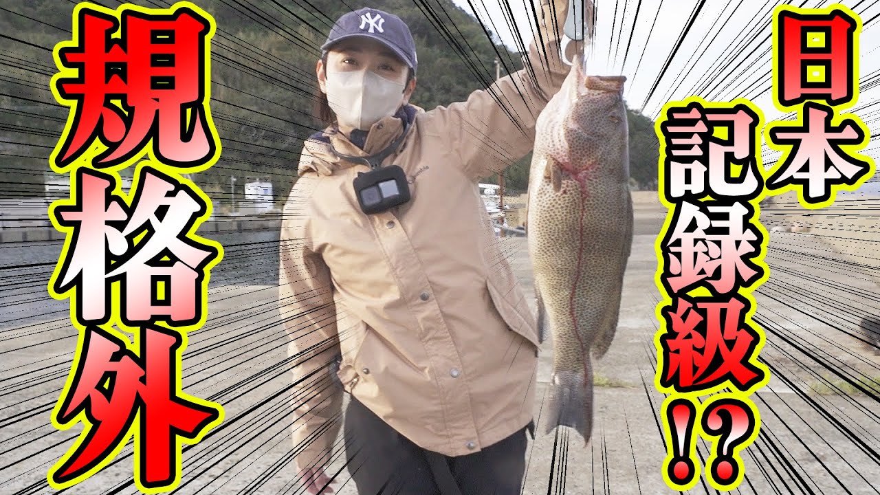 【釣×食】かぶせ釣り、開始早々!?ついに目標の〇鯛が!?