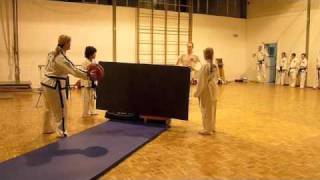 VIRTUE TAEKWON-DO FLYING SIDE KICKS