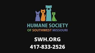 Spotlight Shelter: Drover - 4/30/20