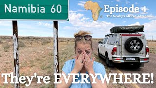 Totally unexpected Namibia | Canyons, crickets and cows | Family African overland adventure