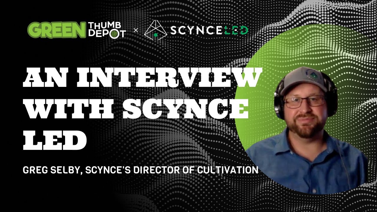 Scynce LED Grow Lights - An Interview with Greg Selby, Scynce's Director of Cultivation