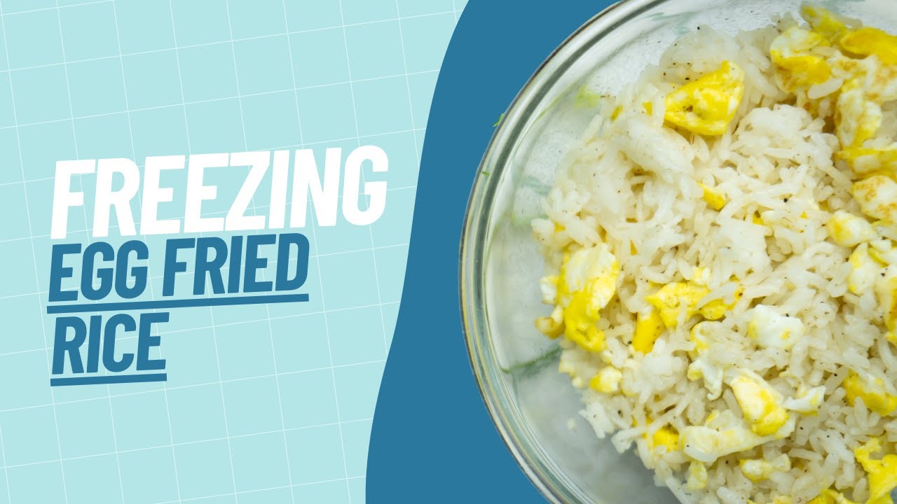 How to Freeze Egg Fried Rice Our Guide to Freezing Egg Fried Rice