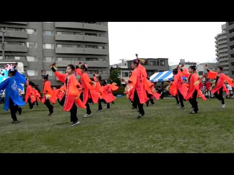よさこい星華隊さん（R）／湘南よさこい祭り2011
