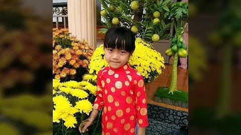 Chúc mừng năm mới an khang thịnh vượng