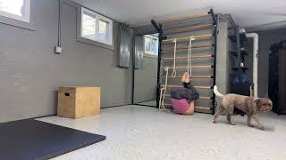 Oblique Core Exercise for Aerial, Yoga & Arm Balancing | Stall Bar Knee-to-Elbow