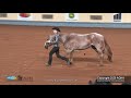 2020 AQHA Showmanship