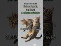 30. Gatos: O Segredo Chocante por Trás de Cada Queda Perfeita! 😼💥 #gatos #felinos #animais #cur