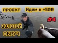 Золотой обруч  Проект.Идем к +500. 4 серия.