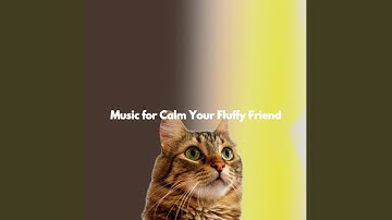 Superlative Open Work Space