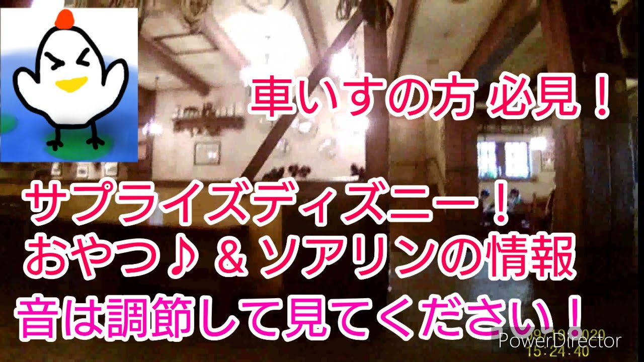 サプライズディズニー おやつ 車いすの方必見 ソアリンの情報 サプライズディズニー 車いす Tds 概要欄を見てね Youtube