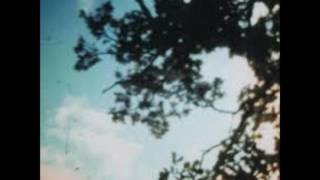 Bibio - Looking Through the Facets of a Plastic Jewel