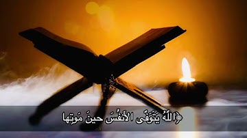 ما تيسر من سورة الزمر