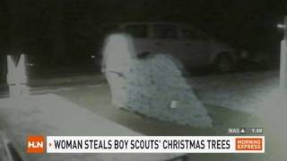 Christmas trees stolen from Scouts