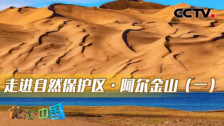 走進自然保護區·阿爾金山（一）：濕地與沙漠並存！探尋阿爾金山國家級自然保護區 20221019 |《地理·中國》CCTV科教 - 天天要聞
