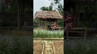 #music #backyardgarden #cuocsongthuongngay