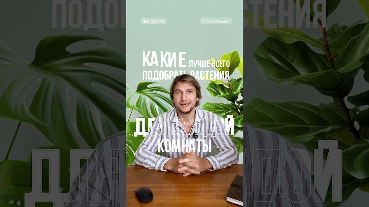 Как подобрать растения для каждой комнаты? Ошибки при озеленении дома, о которых не говорят!