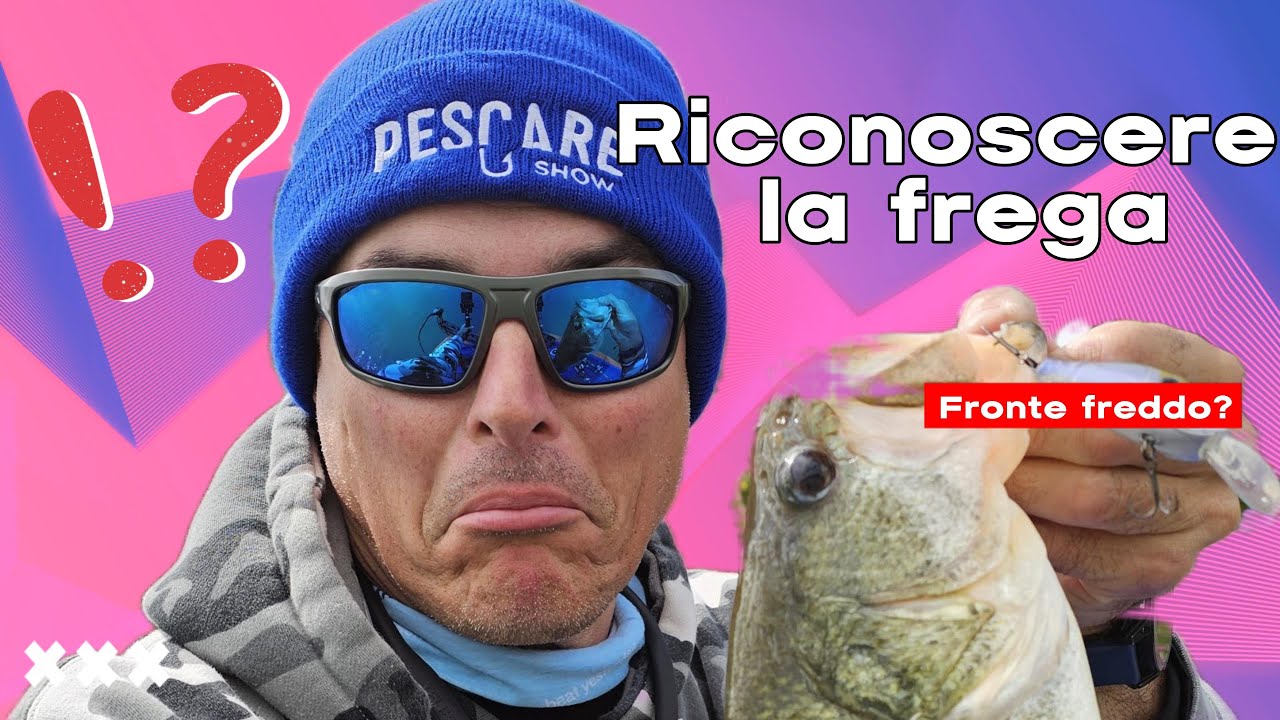 VLOG #12 Reazioni dei BASS al fronte freddo e frega : Parliamone