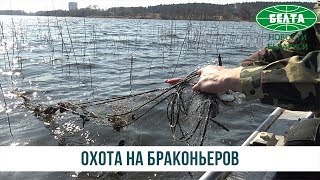 Охота на браконьеров