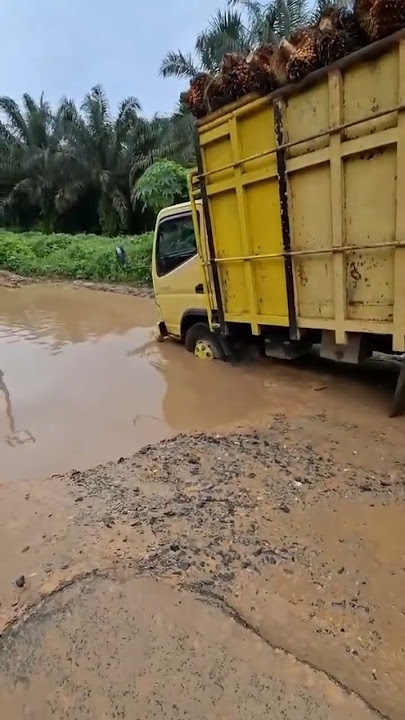 Truk sawit terjebak lobang besar dijalan #shorts #fyp #sawit #truksawit #truk #trending #trukstory